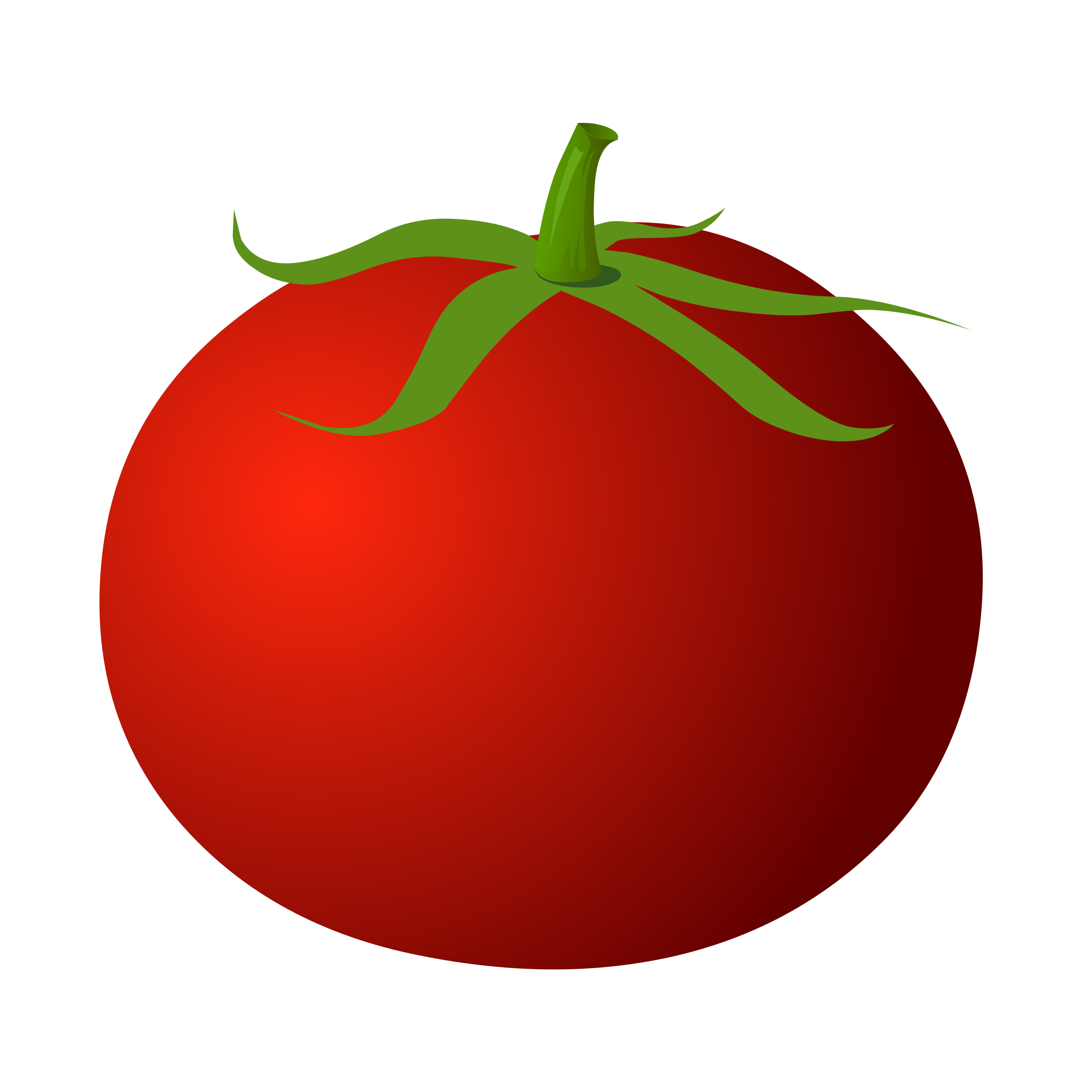 đồng hồ quả cà chua